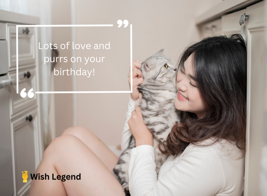 Short Birthday Wishes for Cat Lovers