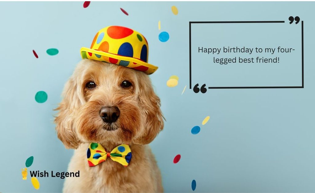 Short Birthday Wishes for Dog