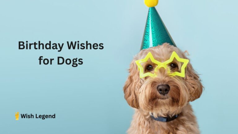 birthday wishes for dogs